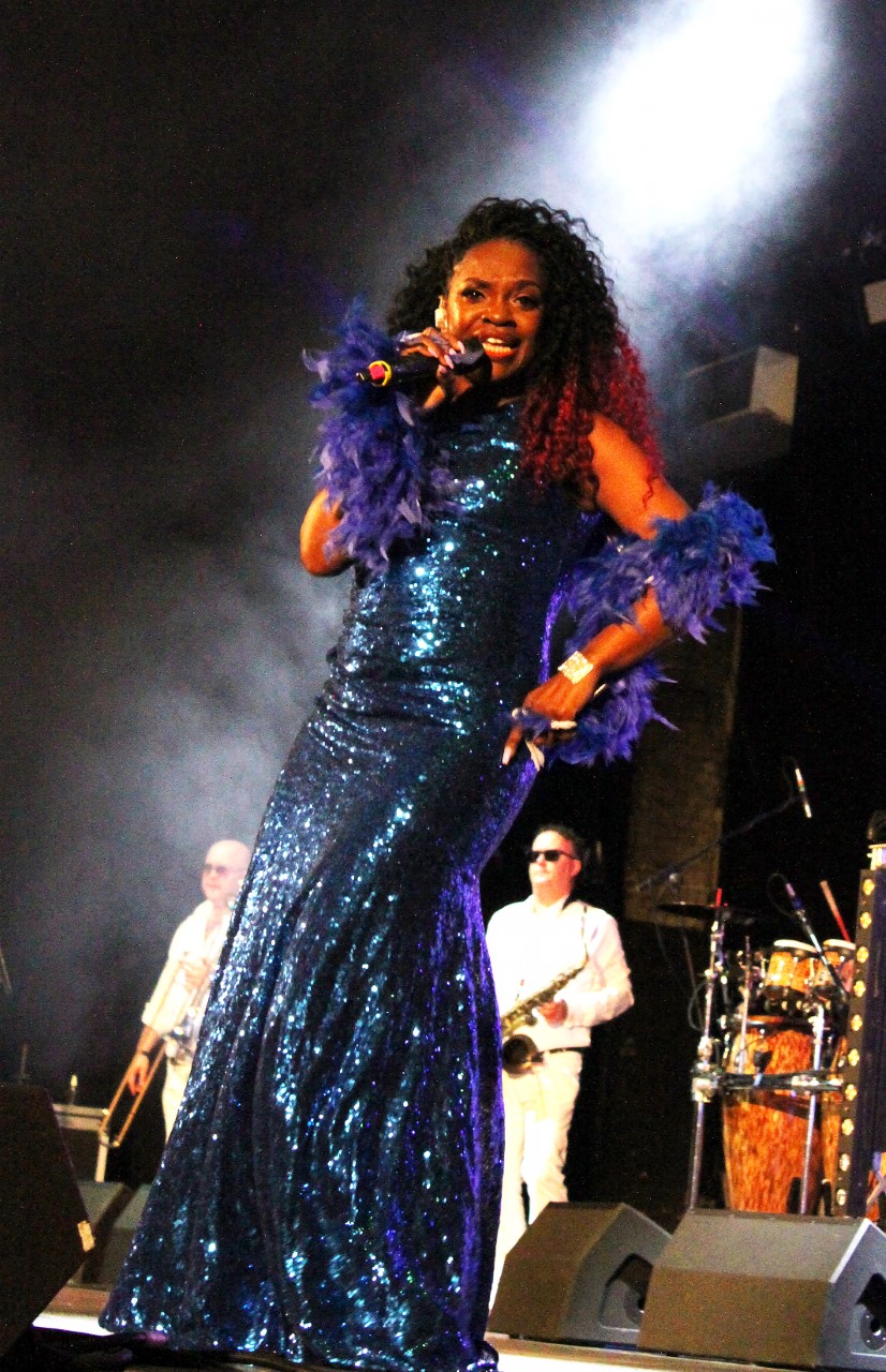 Lost in Music celebrates all things disco this Friday at Cardigan Castle