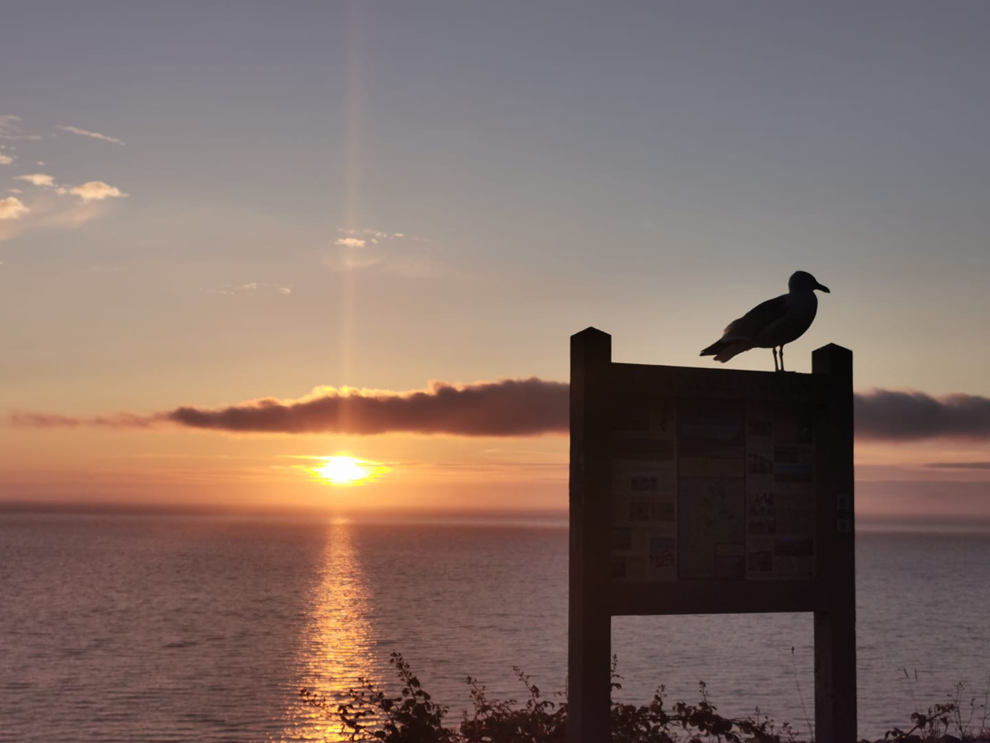 A feathered friend perched neatly for Llinos Furneaux’s sunset snap in Llangelynnin