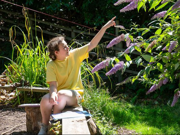 Undershaw students helped launch the Big Butterfly Count