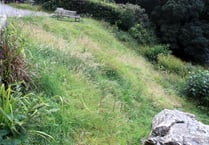Huckworthy Bridge rewilding branded ‘a total mess