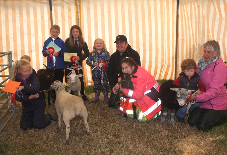 2019 Southern Agricultural Show at Great Meadow Castletown.(Sunday).Jjudging donkeys and meg lambs indoors as weather so bad.
Group of competitors in the meg lamb class.
