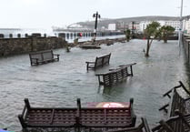 Council to start work on wrecked gardens after over eight months