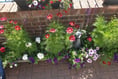 Funding agreed to keep Chobham in bloom