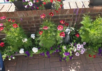 Funding agreed to keep Chobham in bloom