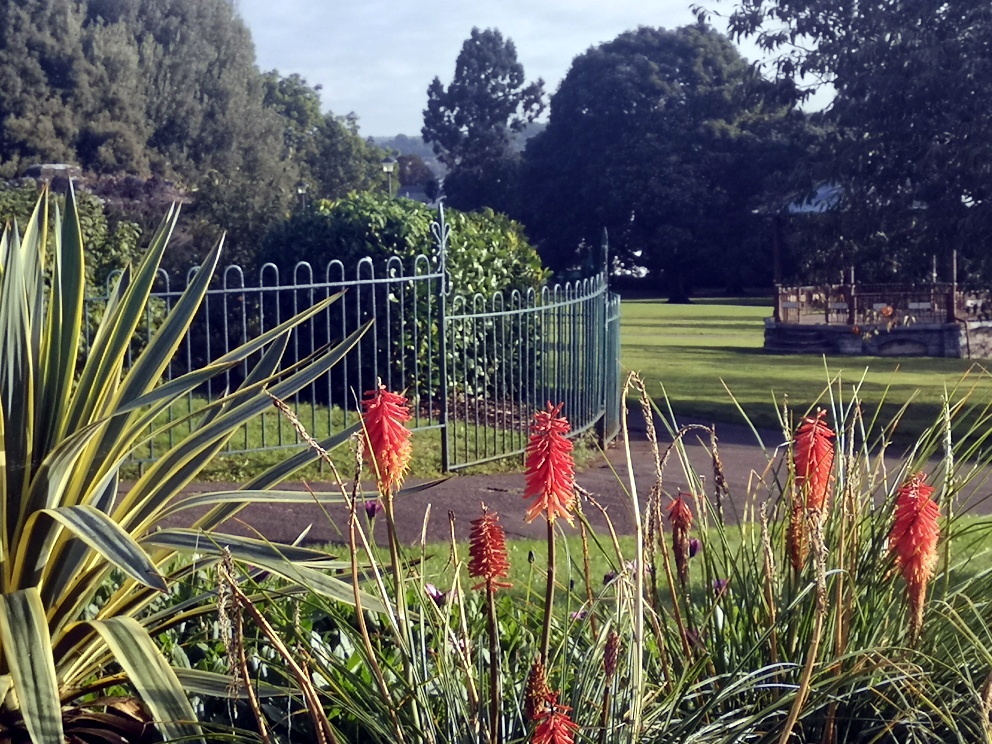 Four parks in Teignbridge have received the Green Flag award, an international quality mark for parks and green spaces. They are, clockwise from top left: Courtenay Park in Newton Abbot, the Den in Teignmouth, Homeyards Botanical Gardens in Shaldon and Decoy Country Park in Newton Abbot.