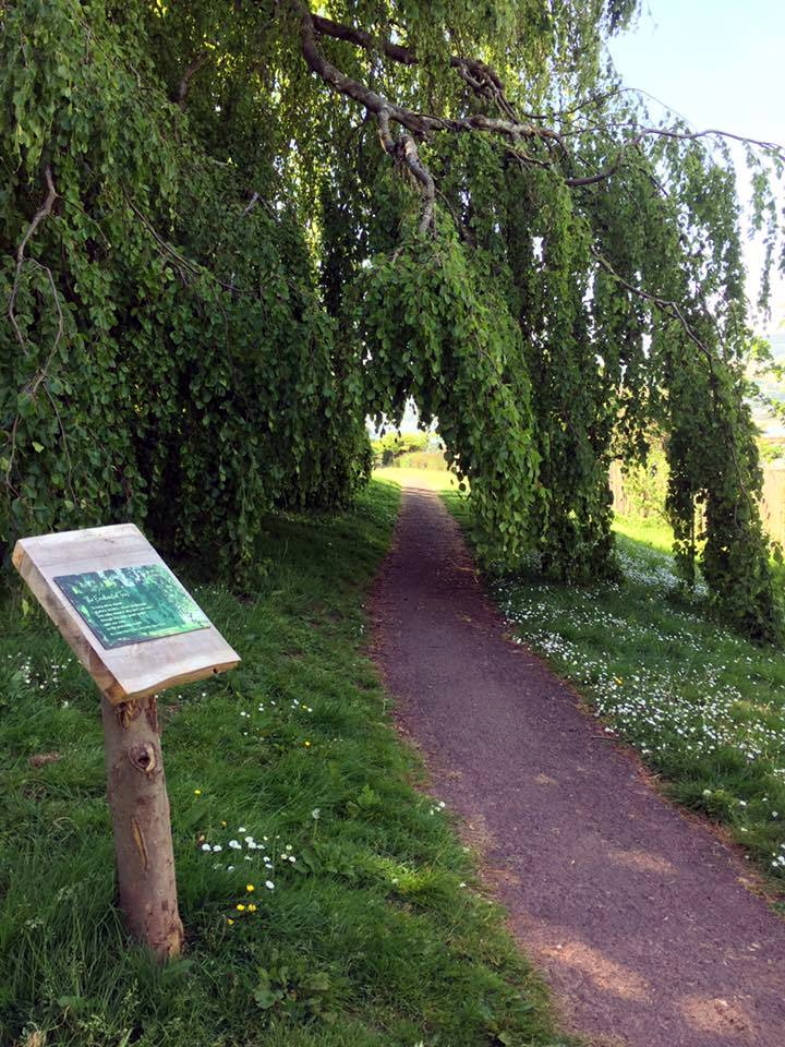 Homeyards Botanical Gardens in Shaldon has been awarded a Green Flag.
Picture: TDC (2022)