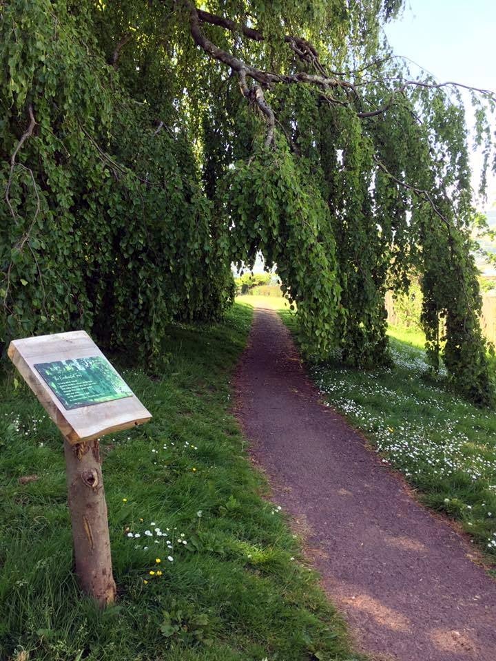 Homeyards Botanical Gardens in Shaldon has been awarded a Green Flag.
Picture: TDC (2022)
