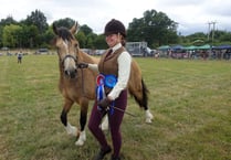 Return of agricultural show draws record crowds 