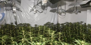 Newton Abbot cannabis factory pictures released by police