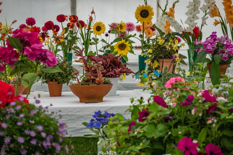 Flowers in the Horticulture display