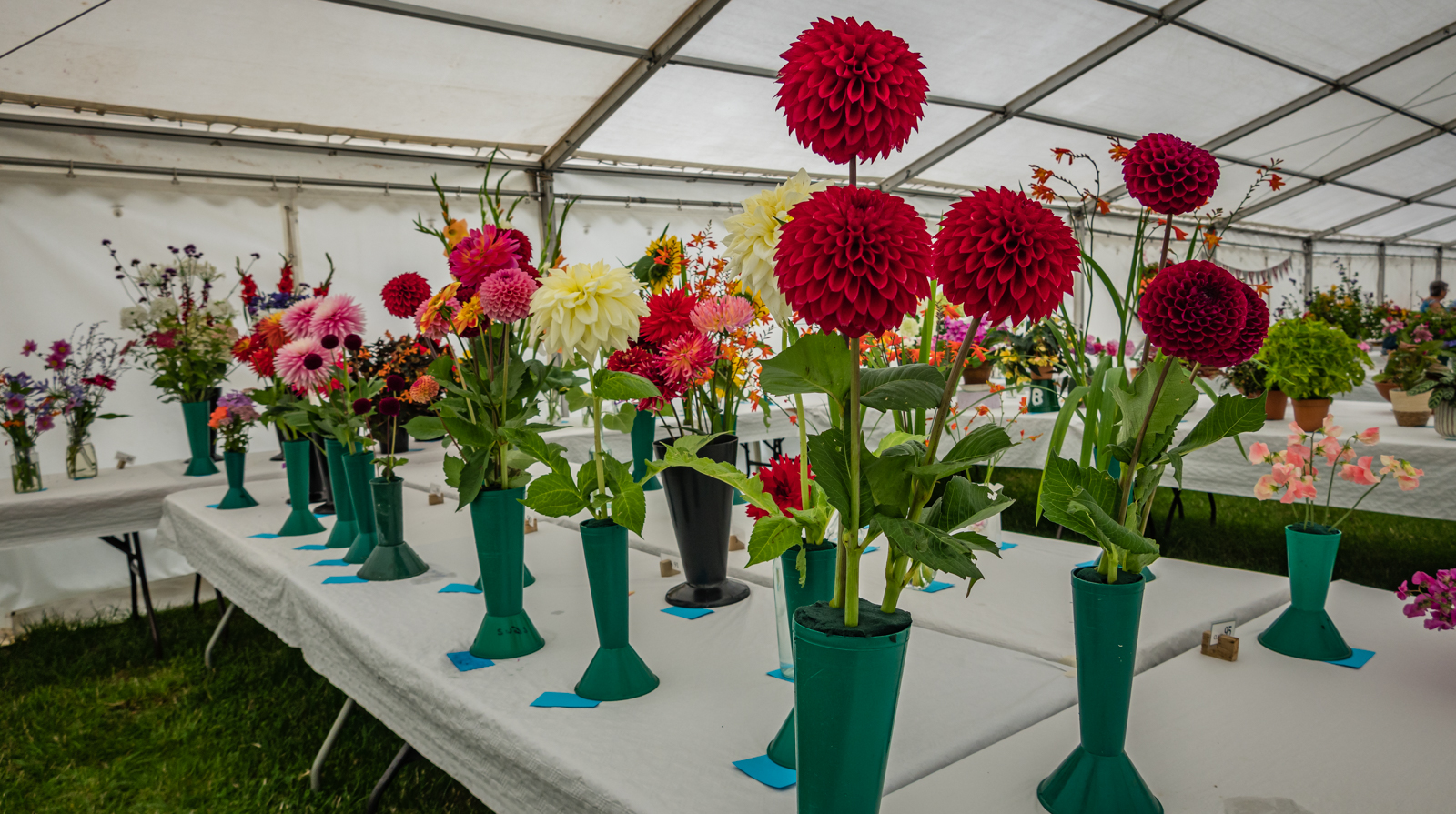 The Horticulture tent