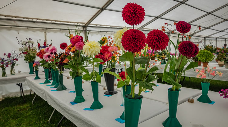 The Horticulture tent