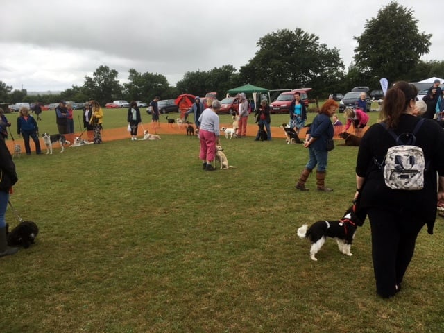 Gallery image 2