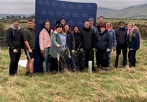 Hundreds of trees planted for woodland trust by financial firm