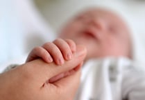 Fertility rate rises in Waverley