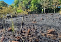 Firefighters’ warning over parched lands