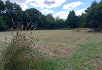 Community comes together to manage green burial meadow