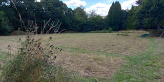 Community comes together to manage green burial meadow
