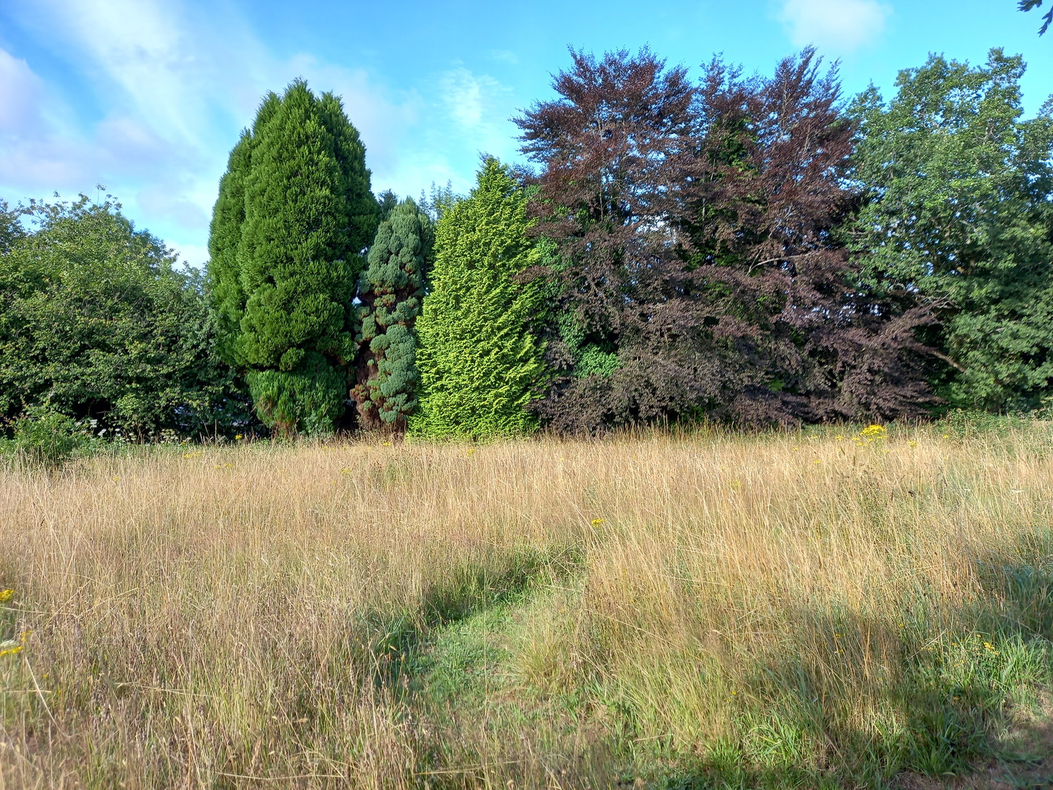 Gallery image 4