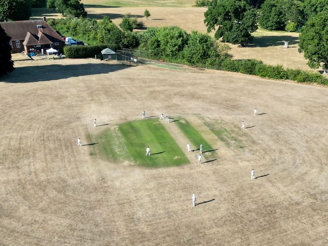 Witley’s dry ground. Photo by Laurie Watson
