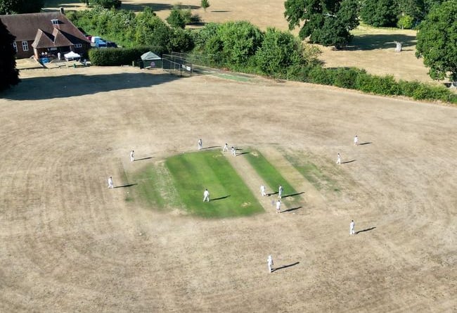 Witley’s dry ground. Photo by Laurie Watson