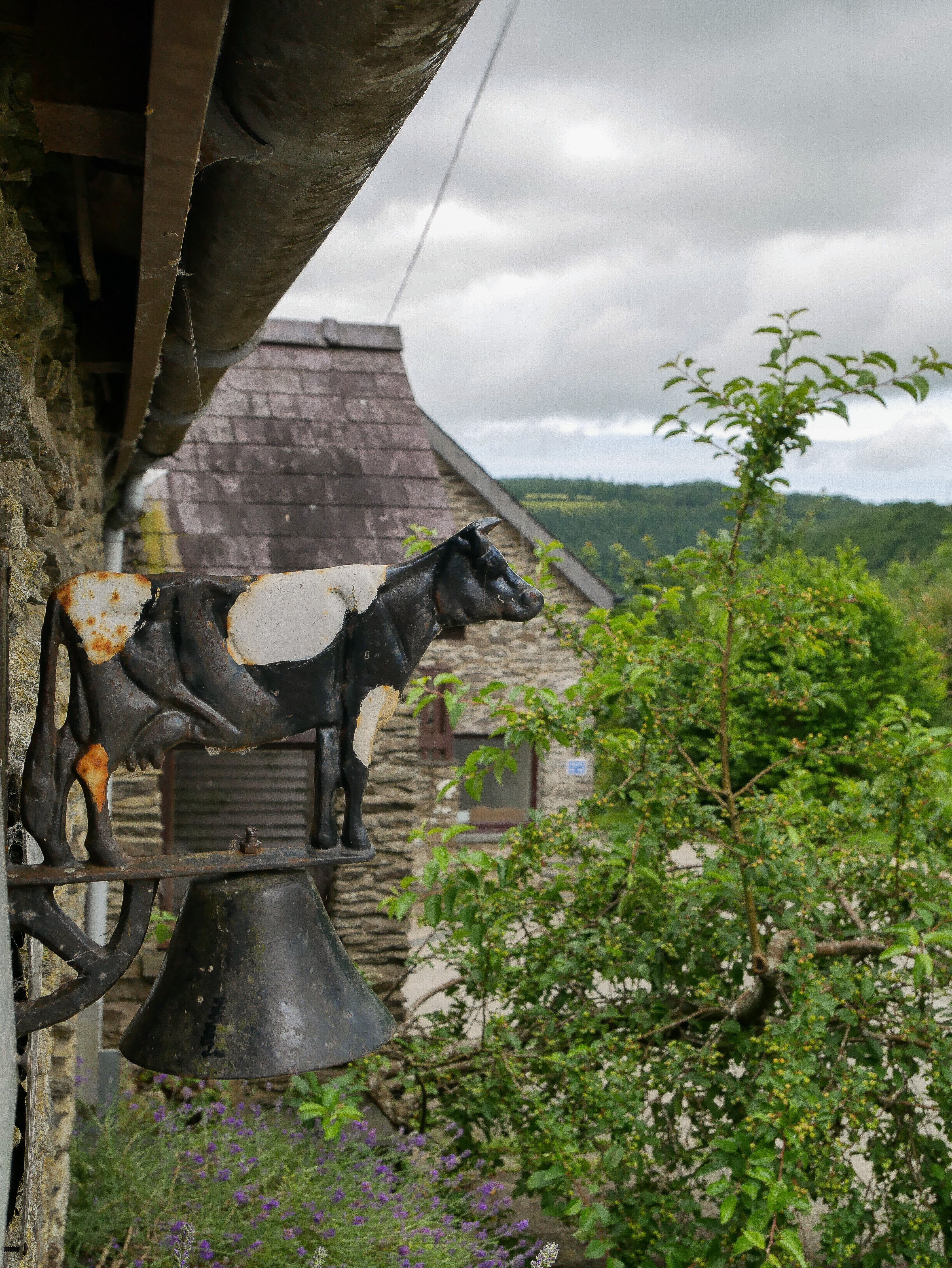 Caws Cenarth