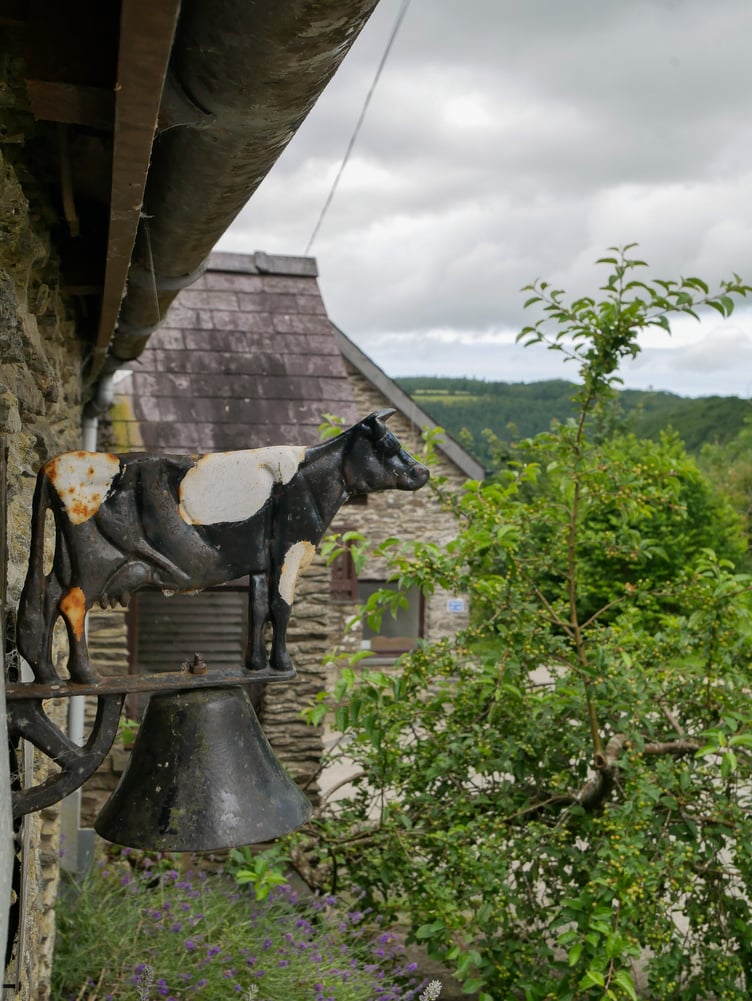 Caws Cenarth