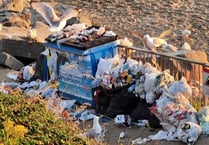 Residents ‘really fed up’ with overflowing bins
