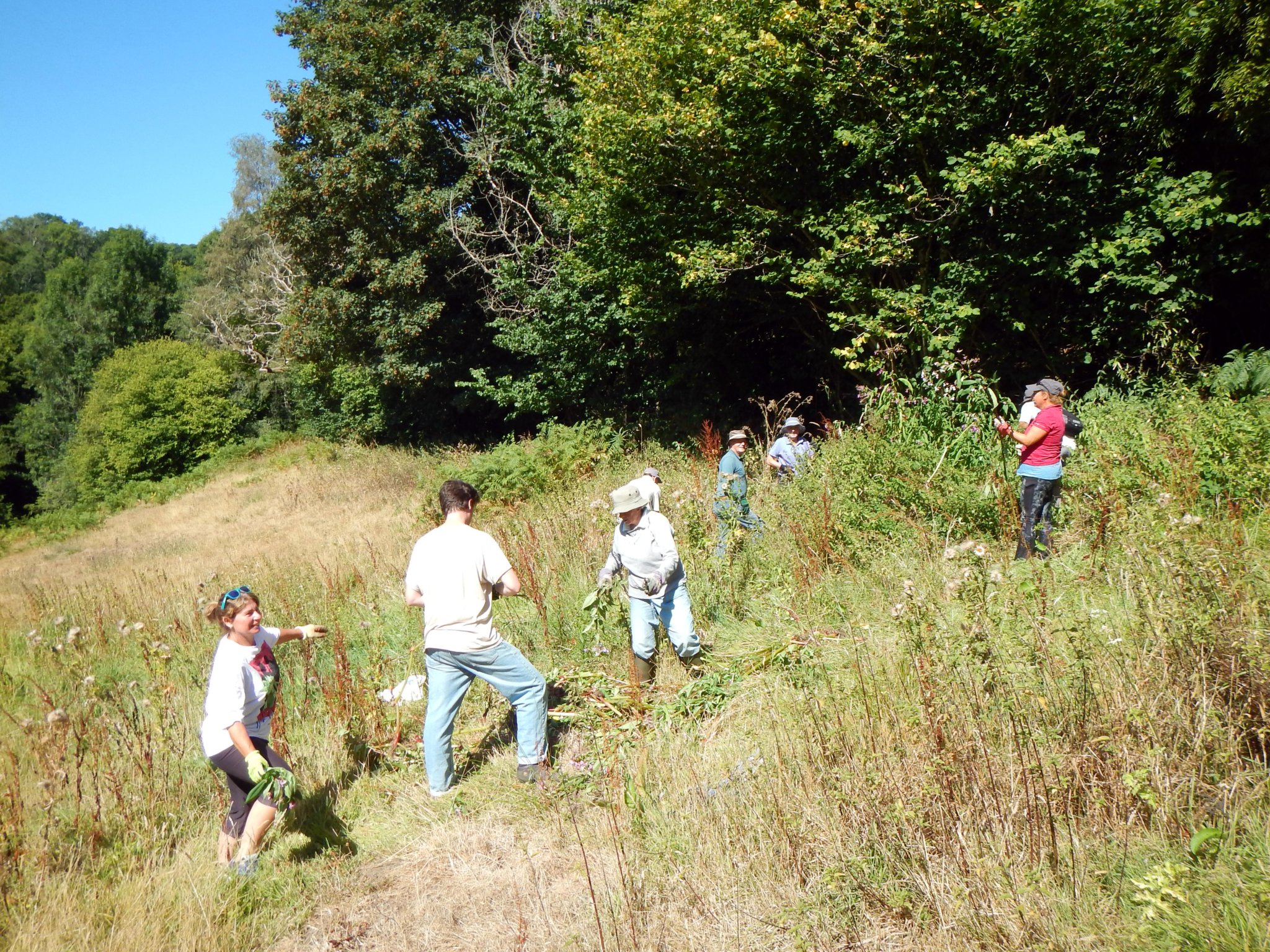 Volunteers got stuck into fighting the spread