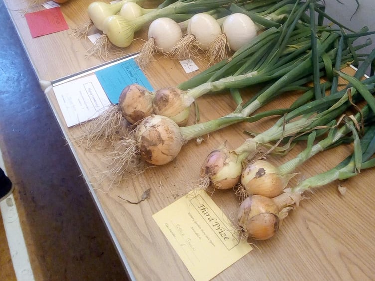Prize onions
