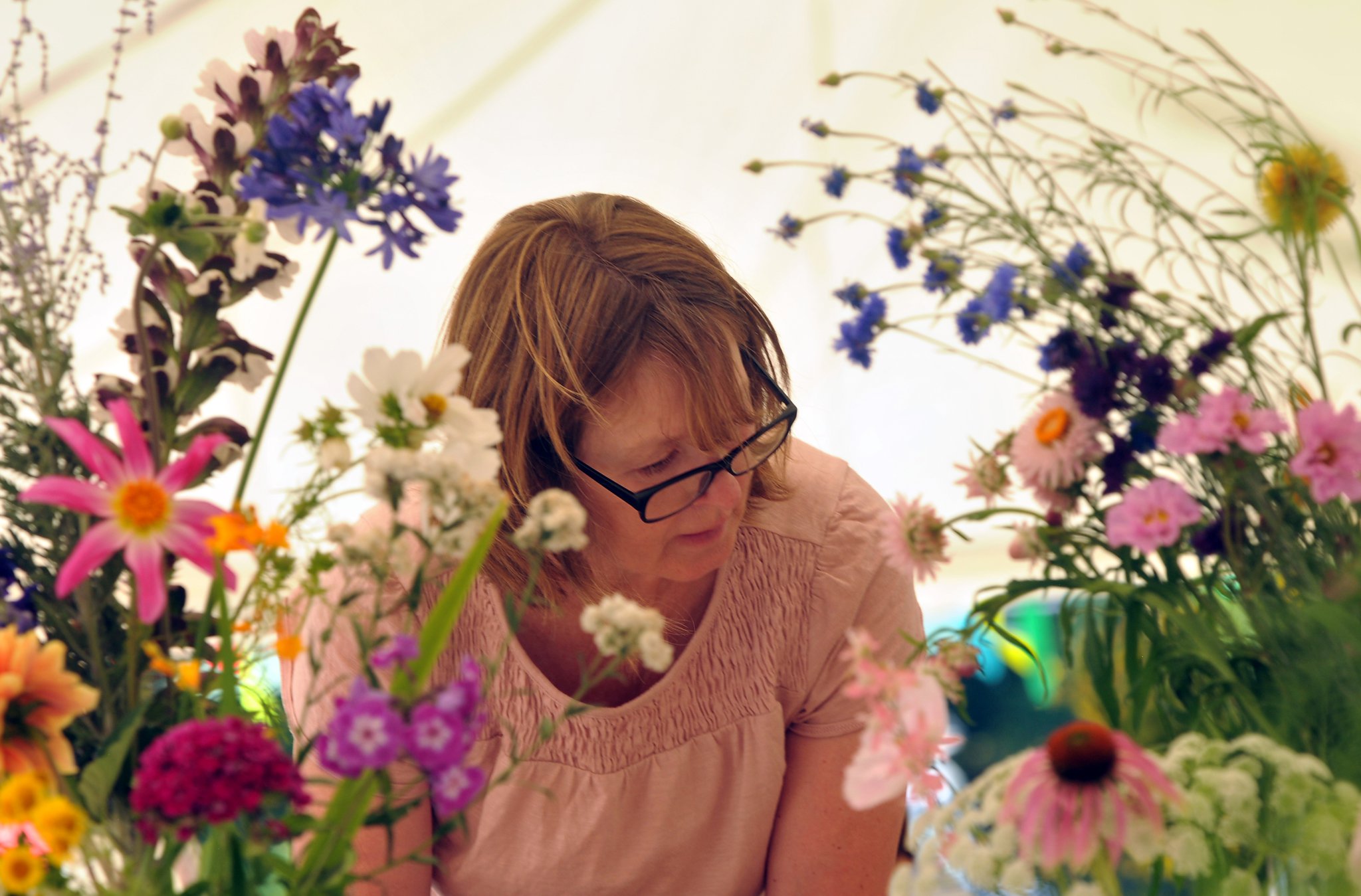 Photo: Steve Pope MDA130822H_SP007
Manaton Show. Floral dispalys that require close inspection