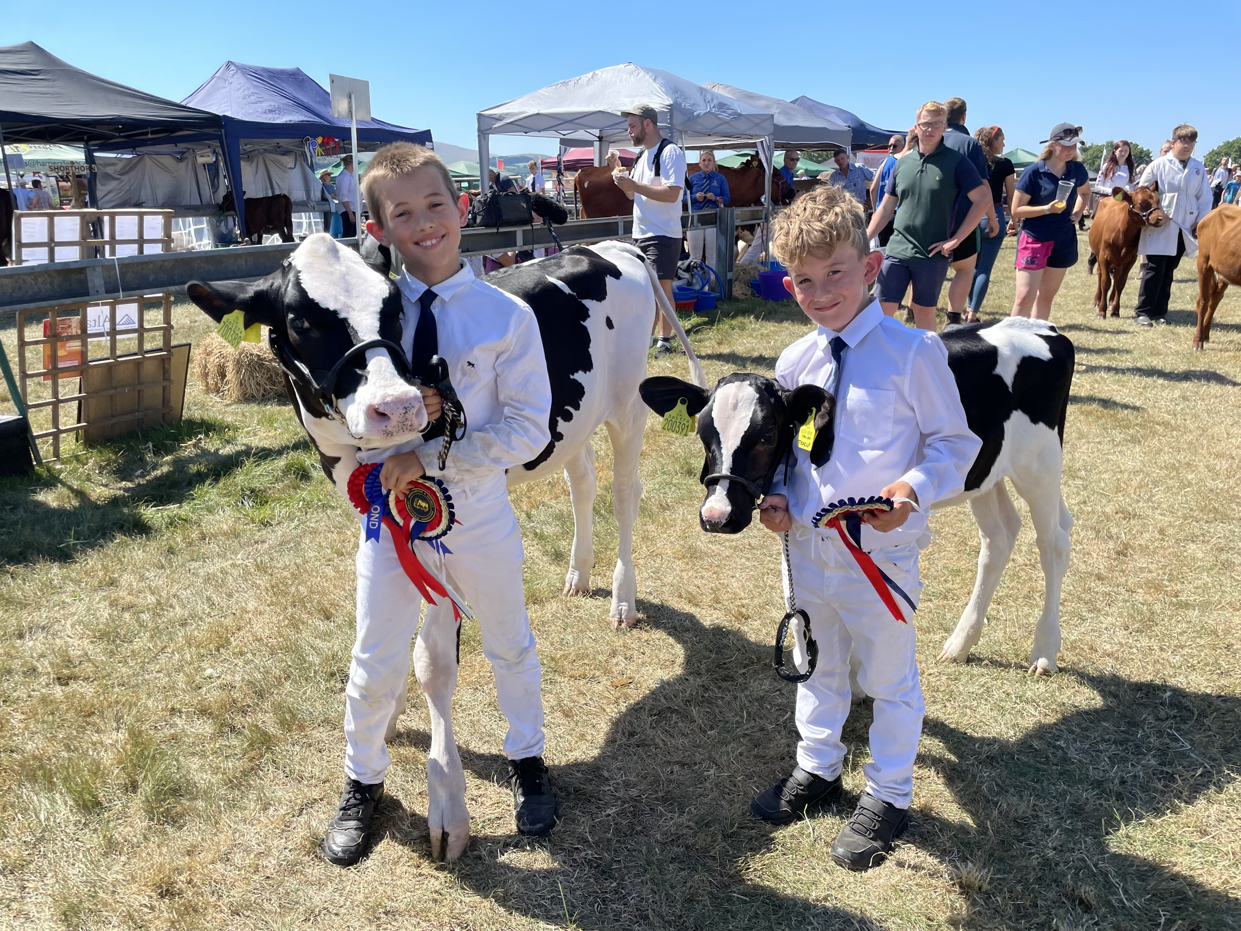 Ted Campbell (10) and his brother Ben (8), from Exbourne, took part in one of the young handler classes. They exhibited calves from the Oxenacres Herd, owned by Martin Webber from Drewsteignton. AQ 3016