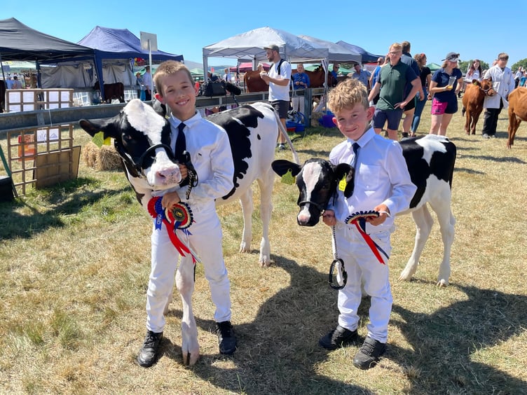 Ted Campbell (10) and his brother Ben (8), from Exbourne, took part in one of the young handler classes. They exhibited calves from the Oxenacres Herd, owned by Martin Webber from Drewsteignton. AQ 3016