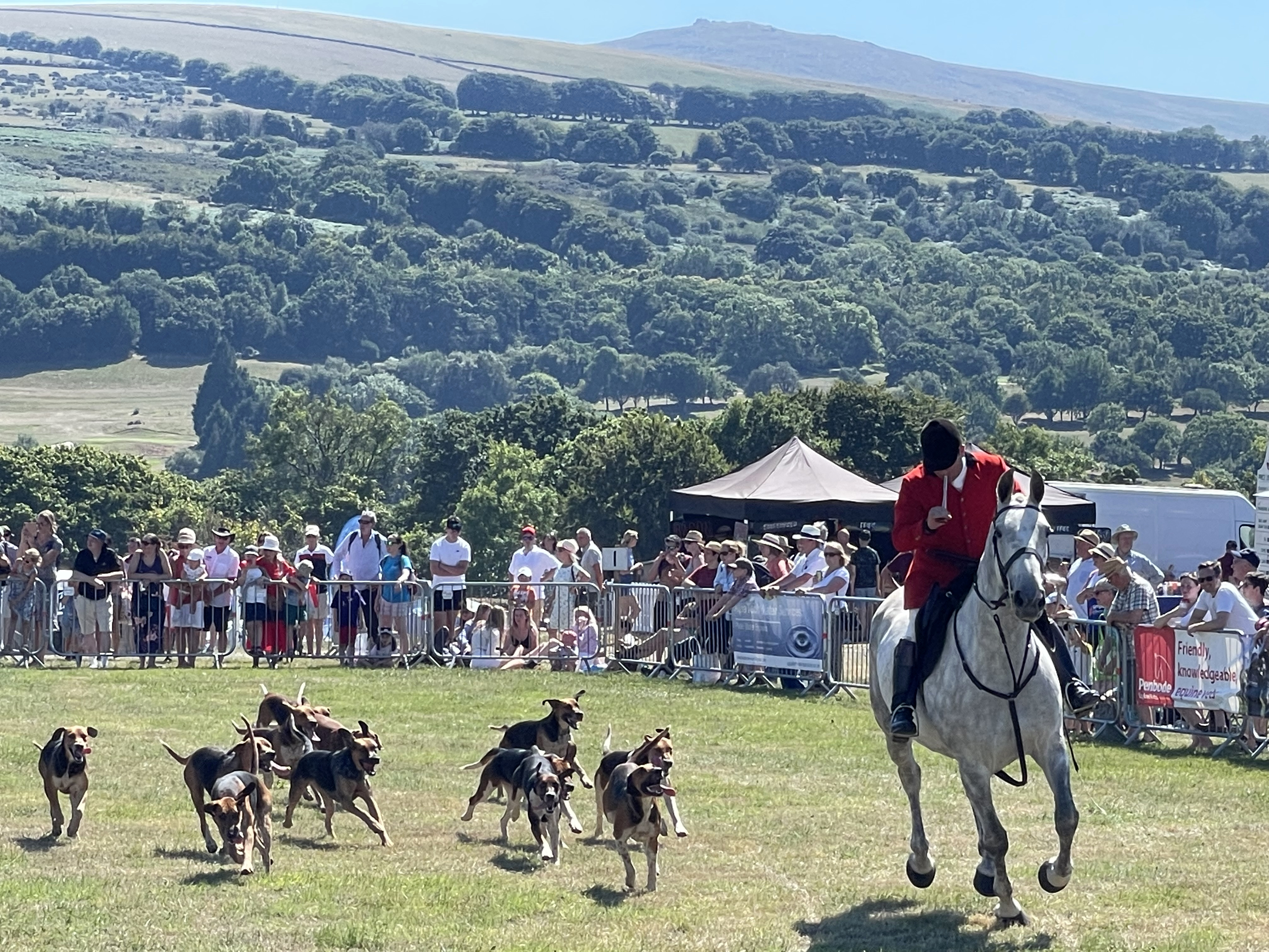 Eggesford Hunt in the main ring at the Show.