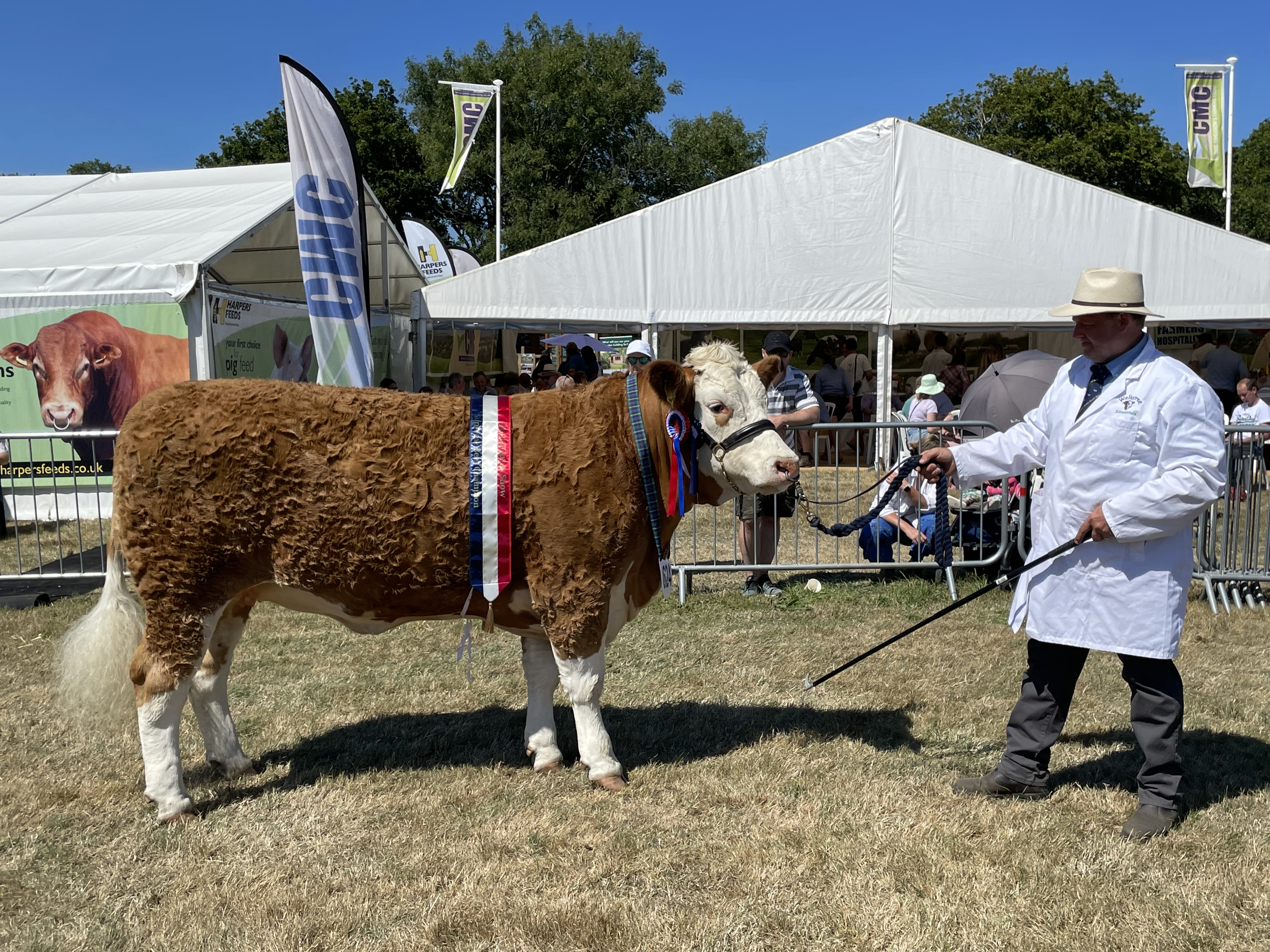 Adrian Bowden of Drewsteignton had a good day at the Okehampton Show with his Galloway cattle. AQ 3030