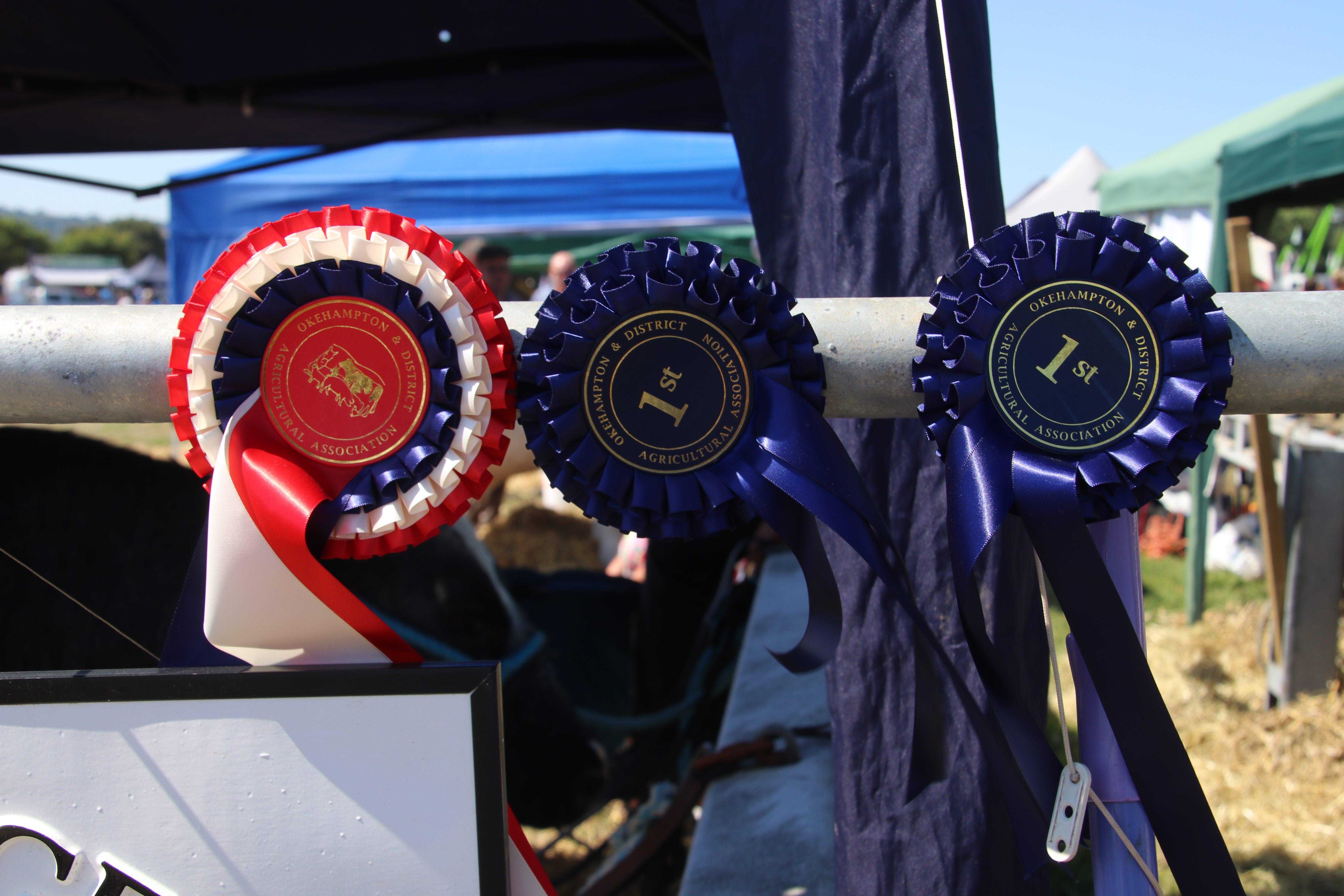 Rosettes at the Okehampton Show. AQ 8162