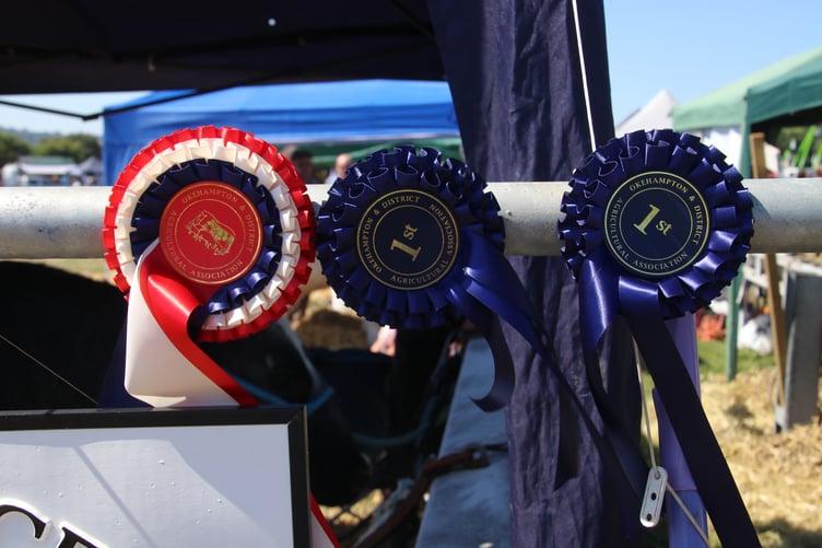 Rosettes at the Okehampton Show. AQ 8162