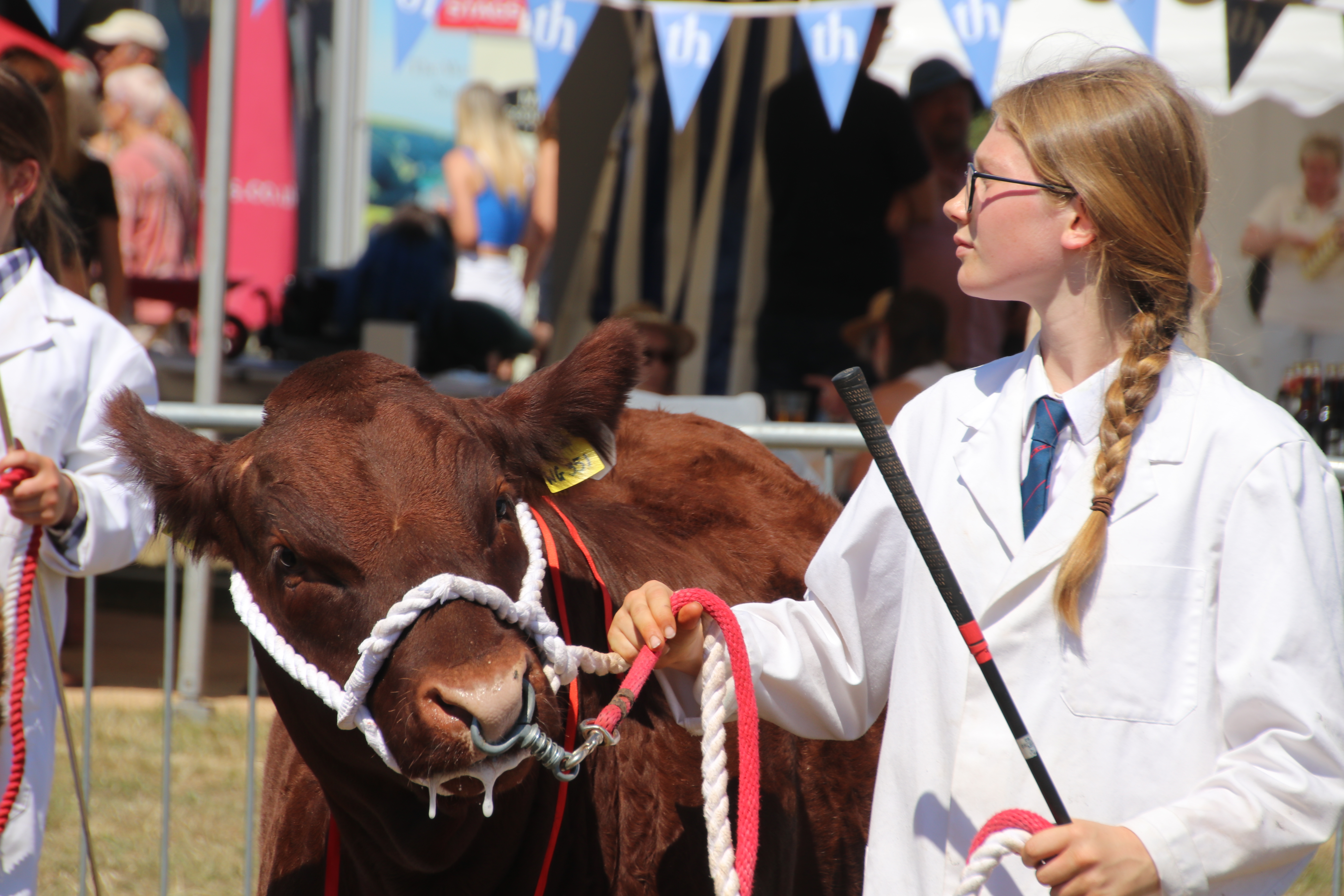 Okehampton Show. AQ 8185