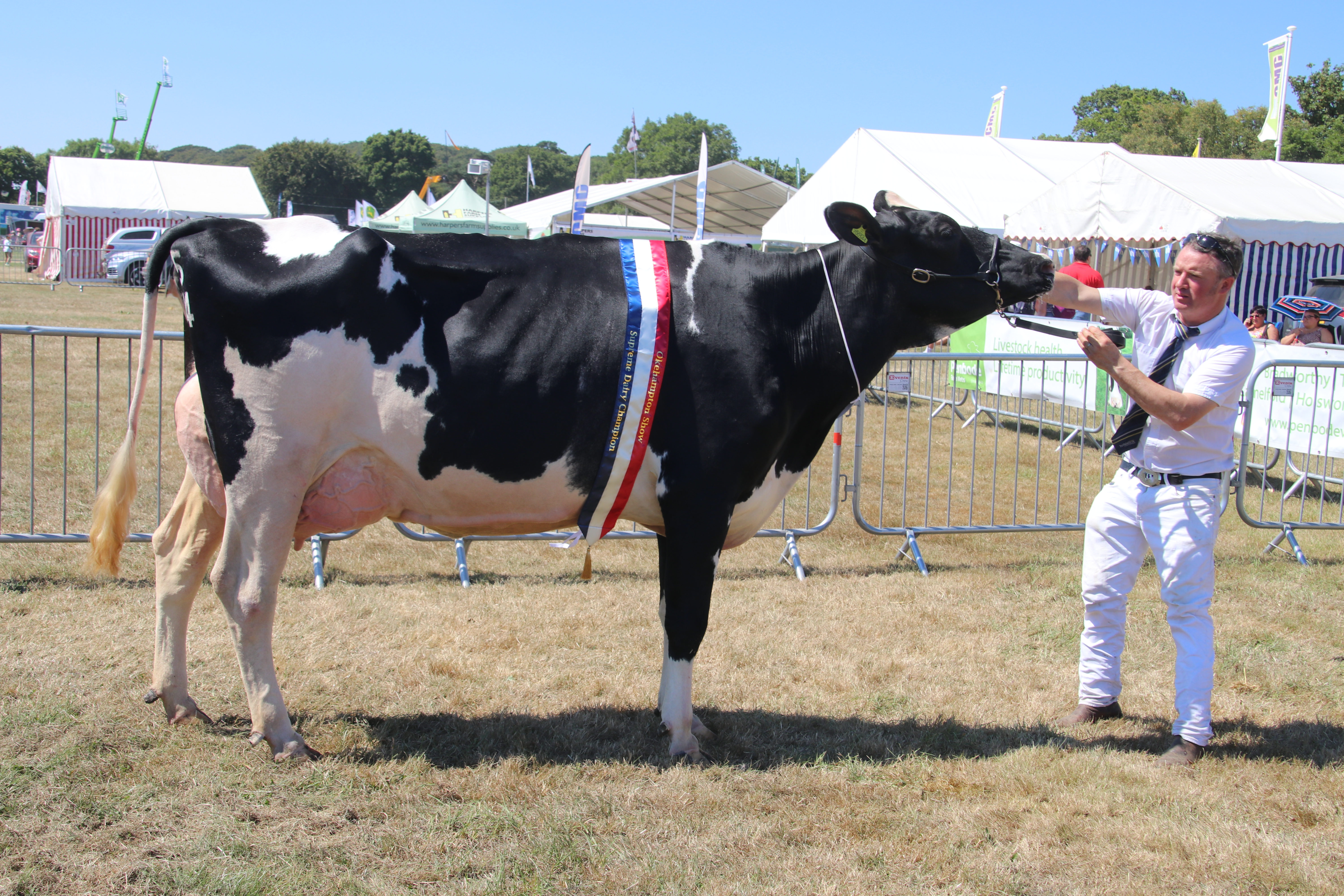 Okehampton Show. AQ 8198