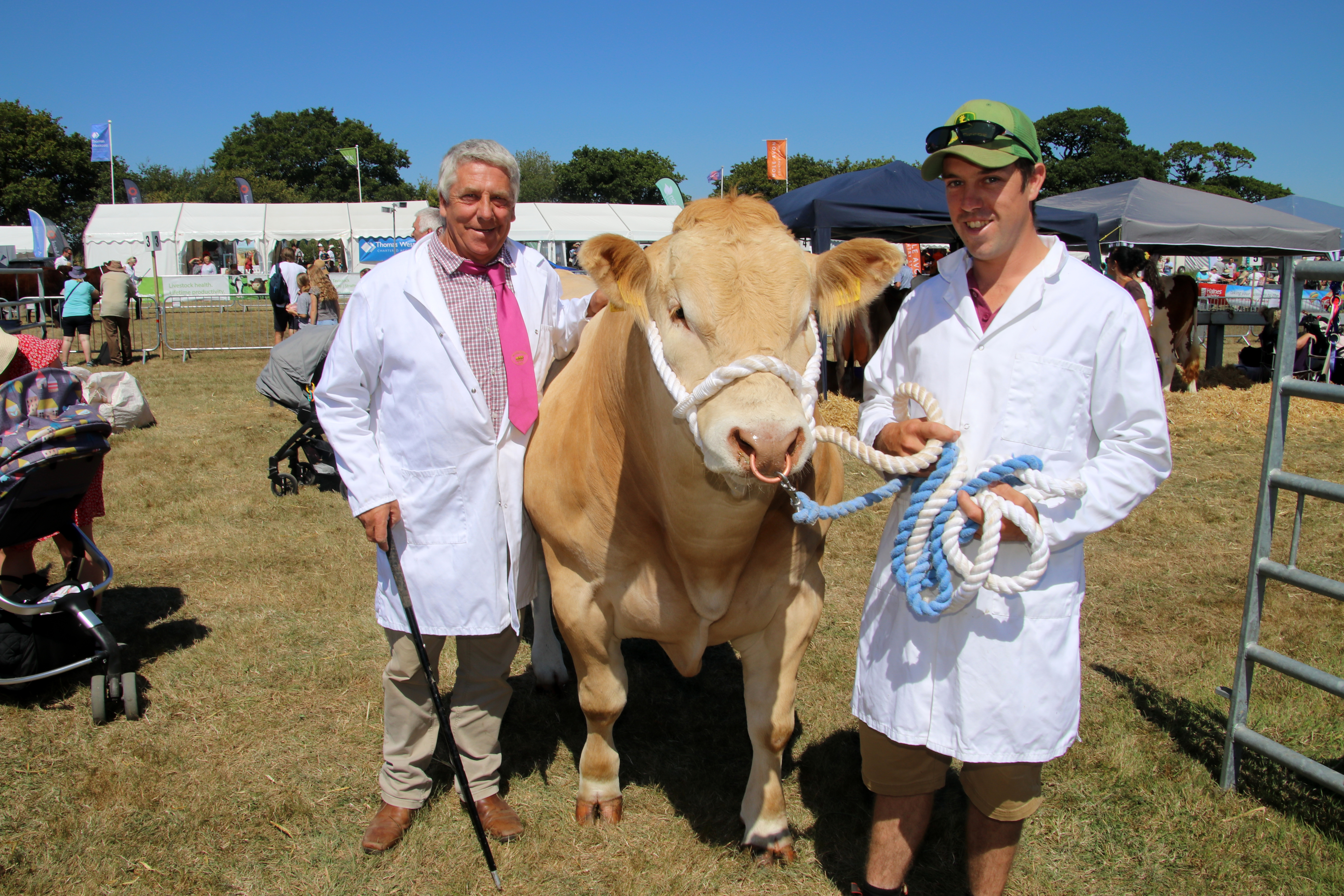 It was a great Okehampton Show for father and son Adrian and Bradley Bowden of Bowbeer Blonds, from Whiddon Down, who achieved a class win, Male Championship and Breed Championship with 17-months-old Hillhead Sambucca. AQ 8203