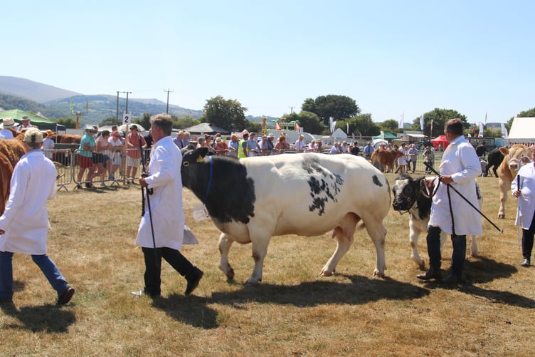 Okehampton Show. AQ 8215