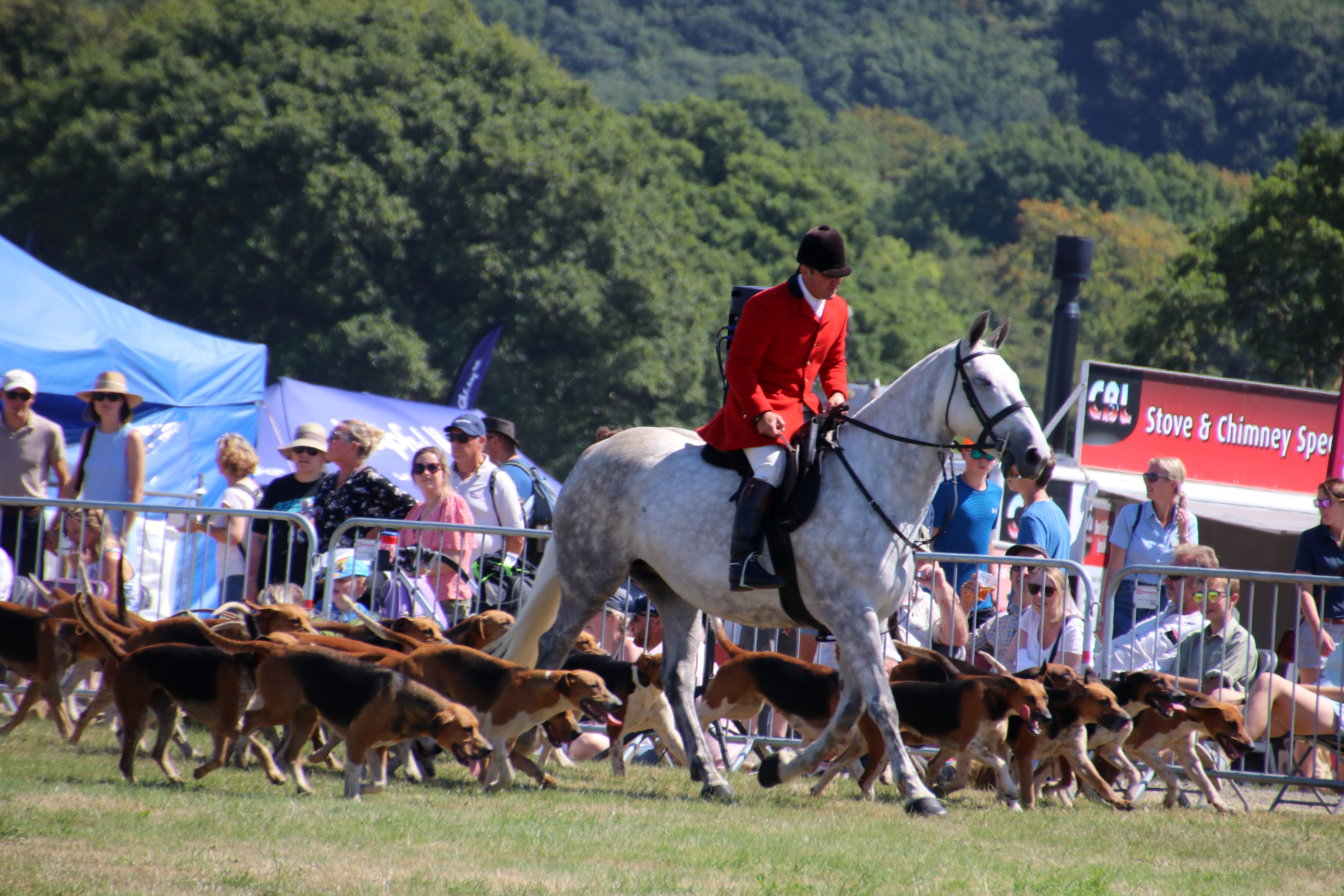 Eggesford Hunt in the main ring at the Show. AQ 8221