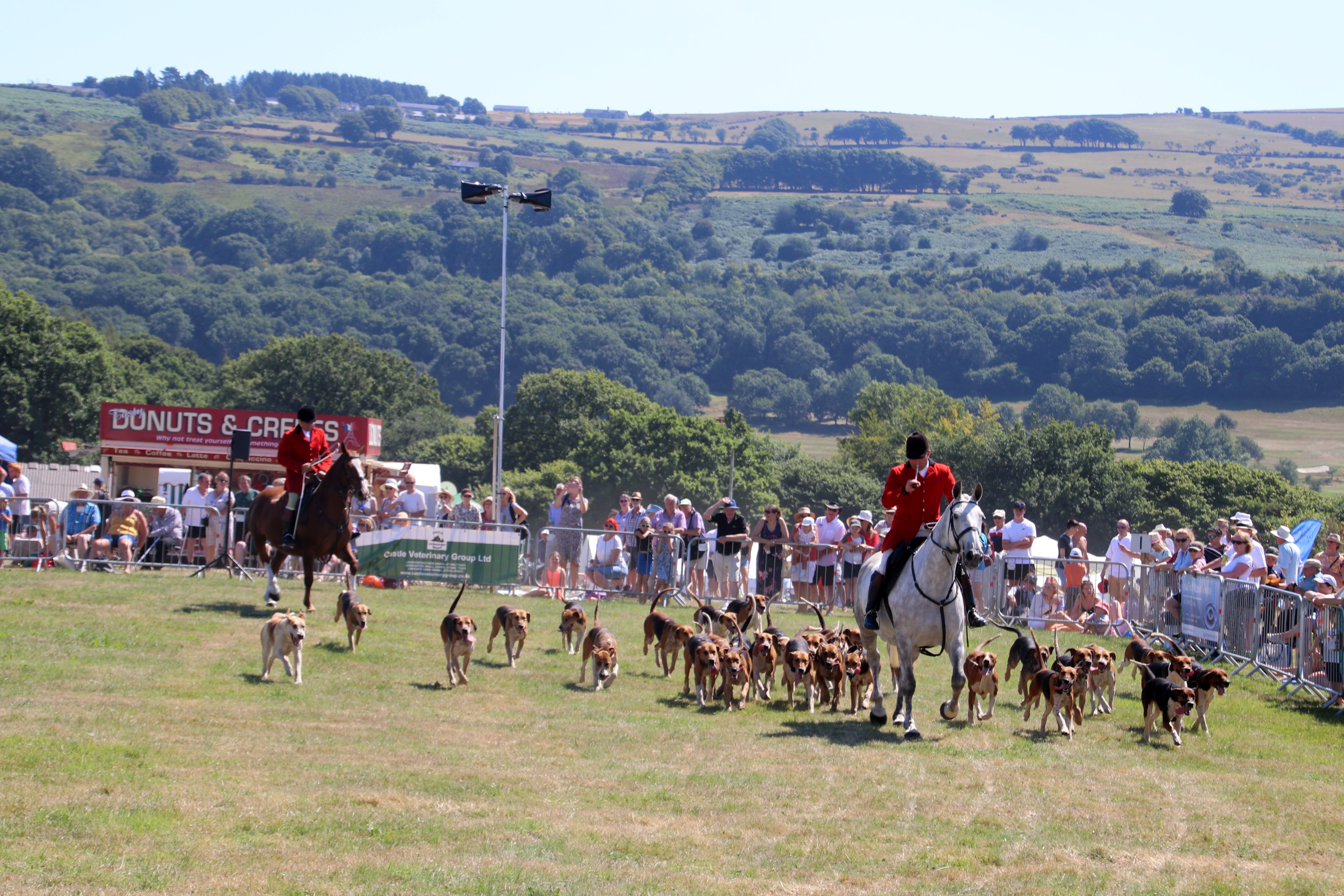 Eggesford Hunt in the main ring at the Show. AQ 8224