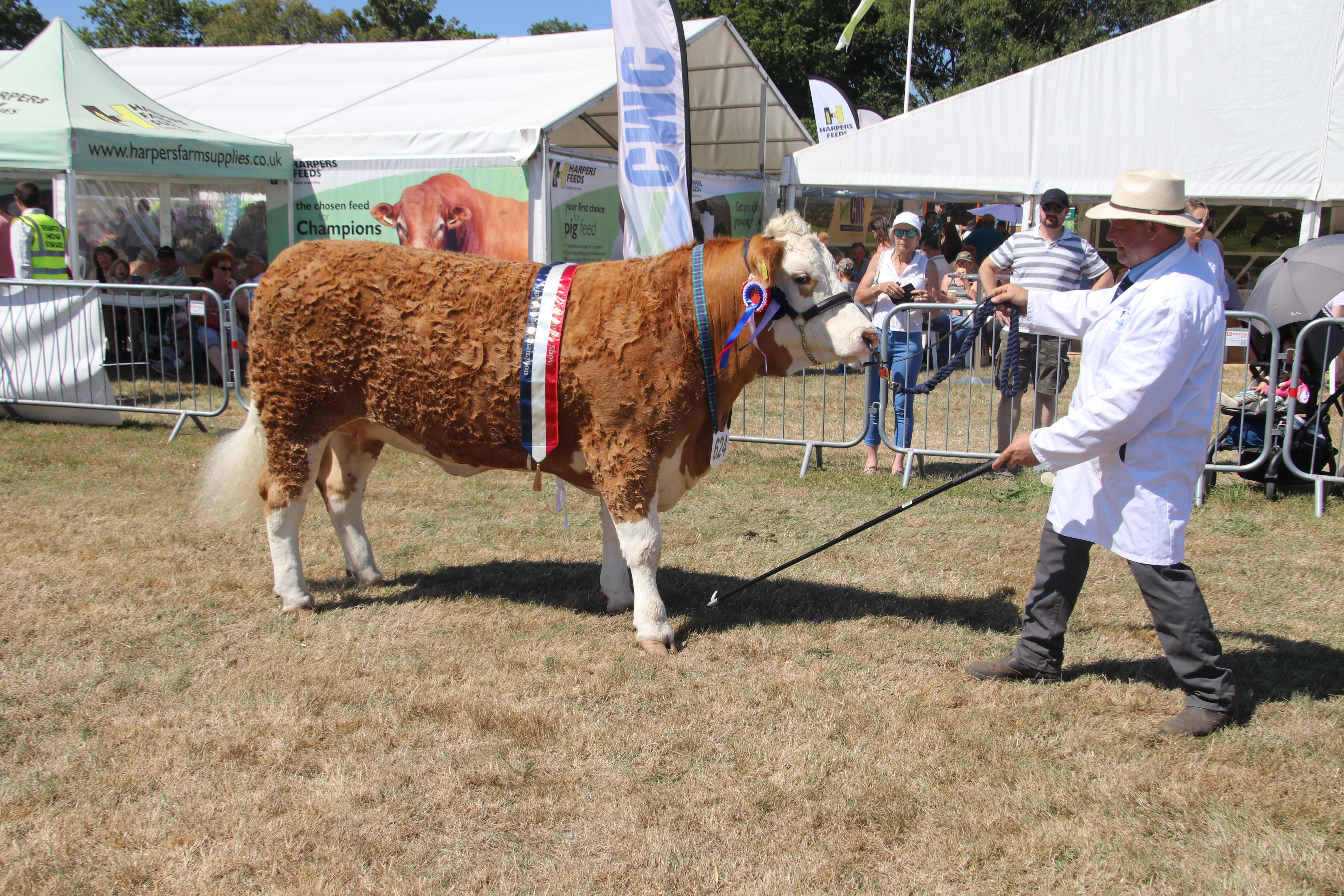 Adrian Bowden of Drewsteignton had a good day at the Okehampton Show with his Galloway cattle. AQ 8237
