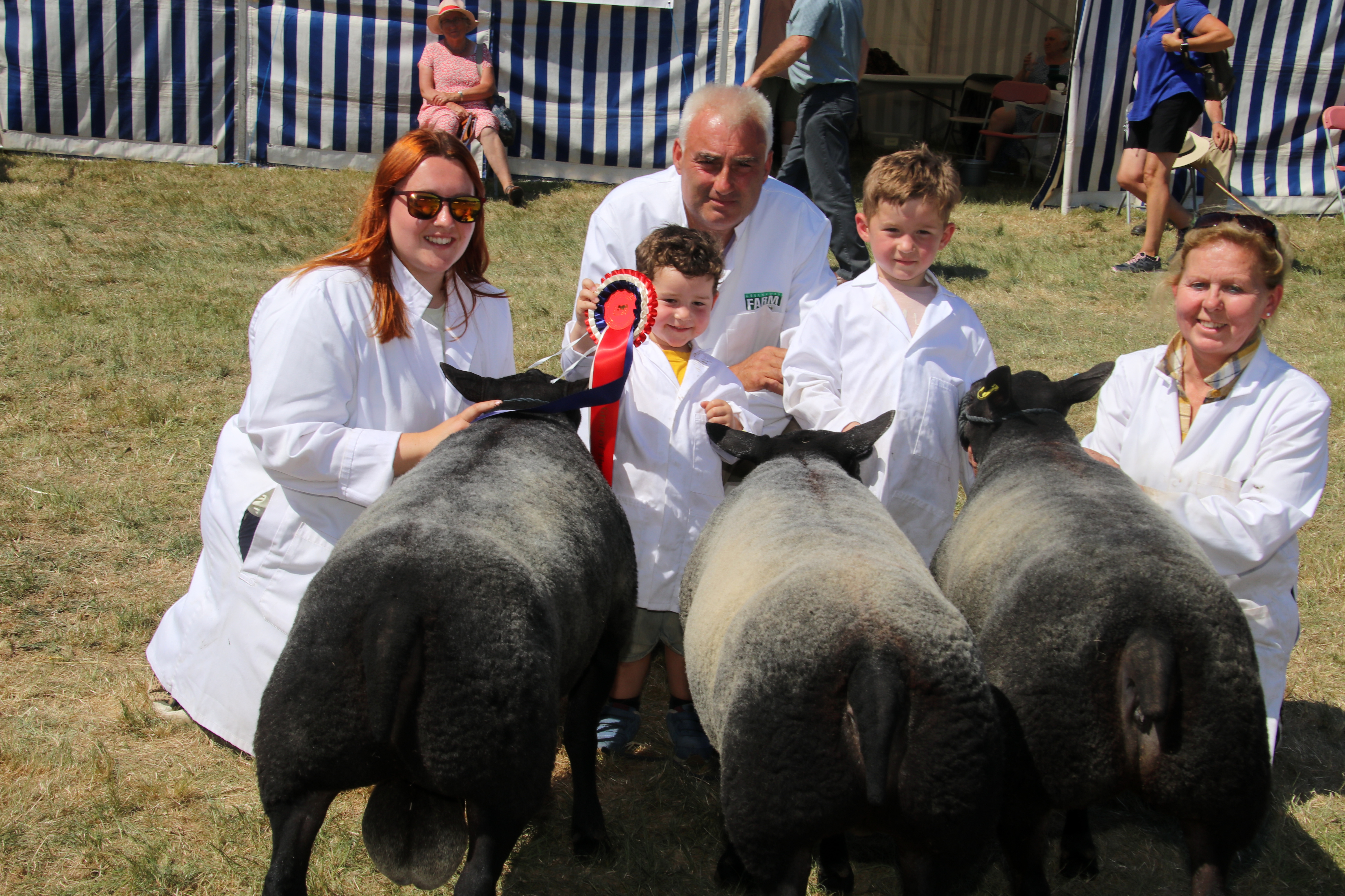 It was a great day for the Jenfree family, pictured, and Jago Renfree (5) won the Young Handler Competition for his performance with his Hampshire Down sheep. AQ 8257