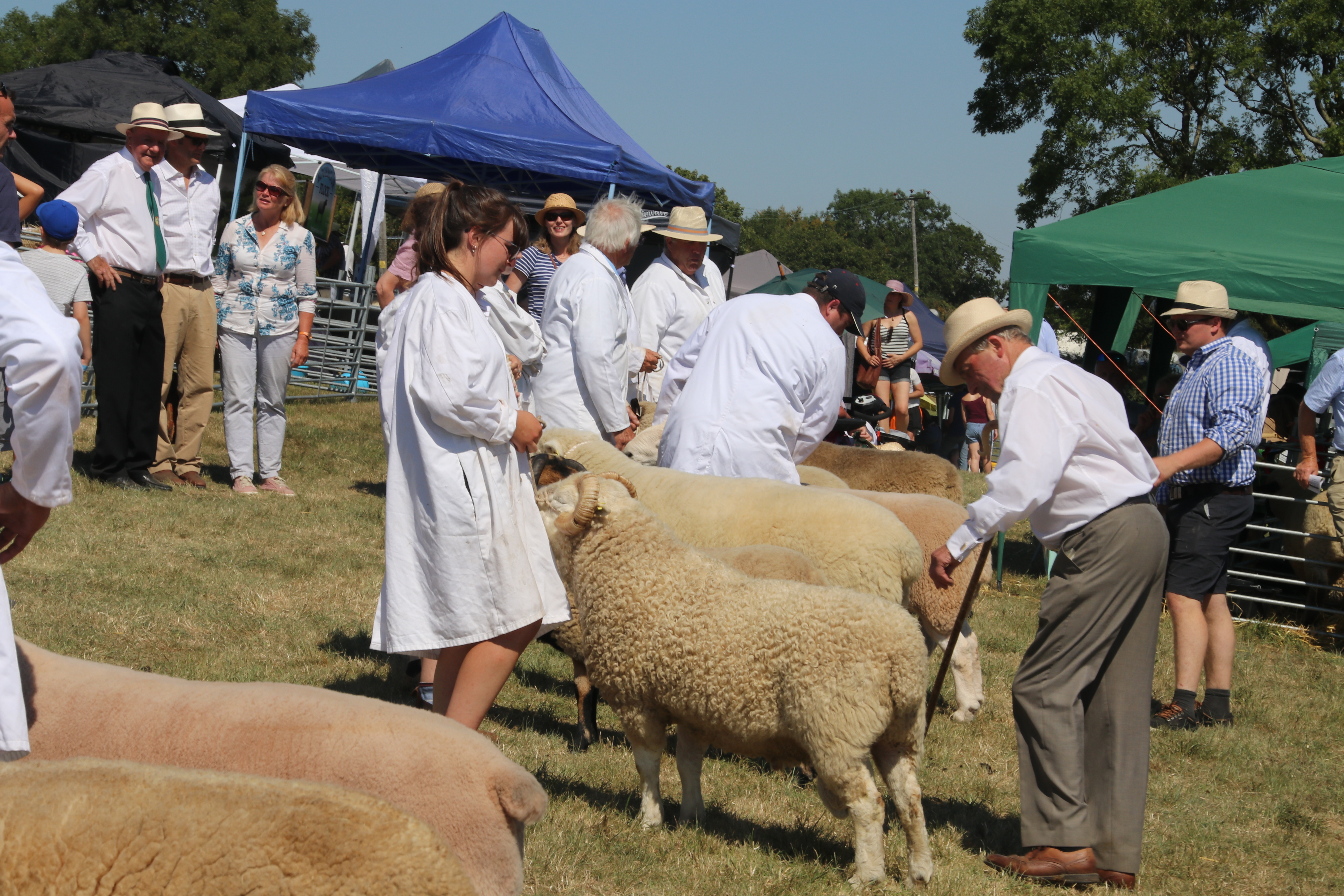Okehampton Show. AQ 8264