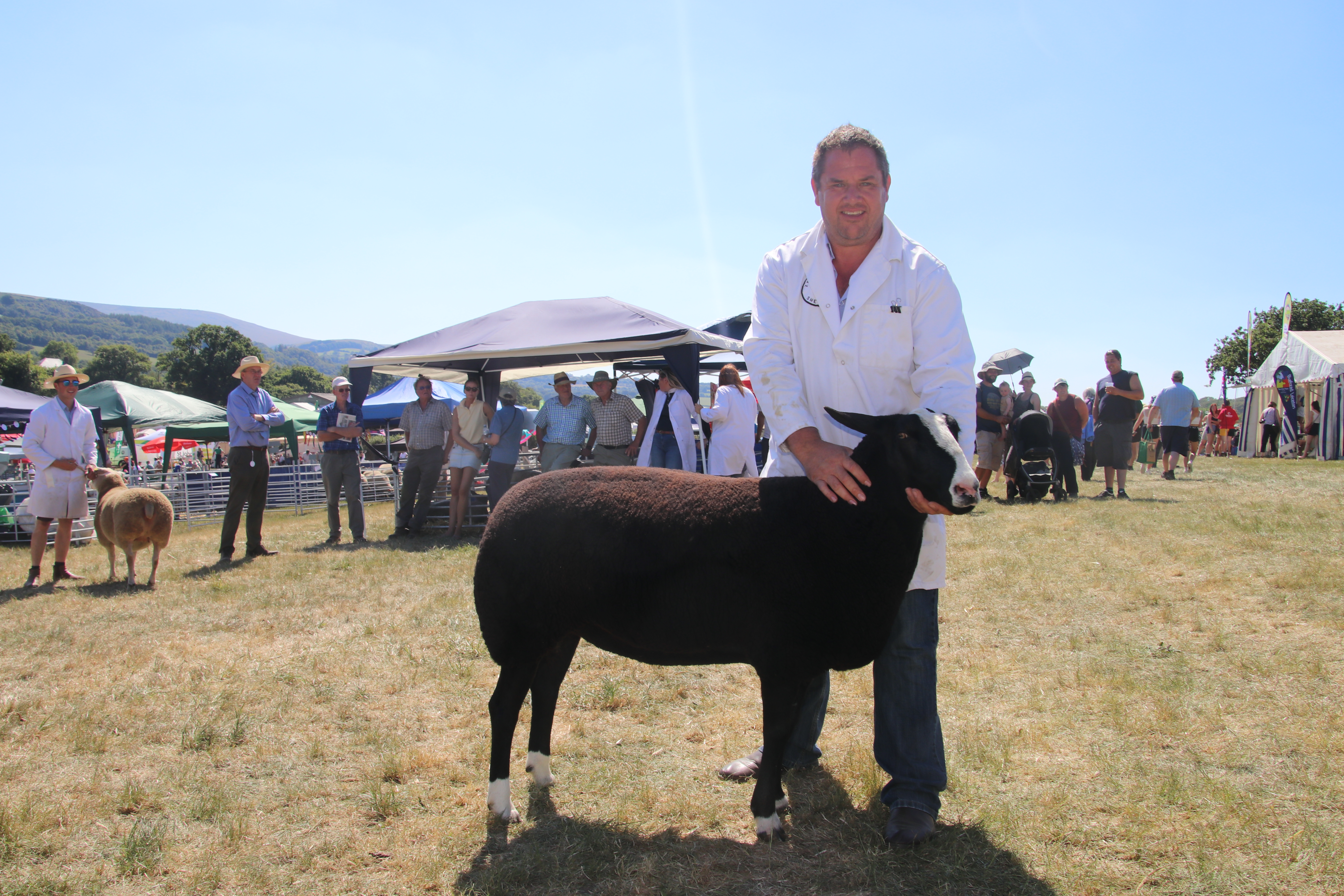 Okehampton Show. AQ 8266