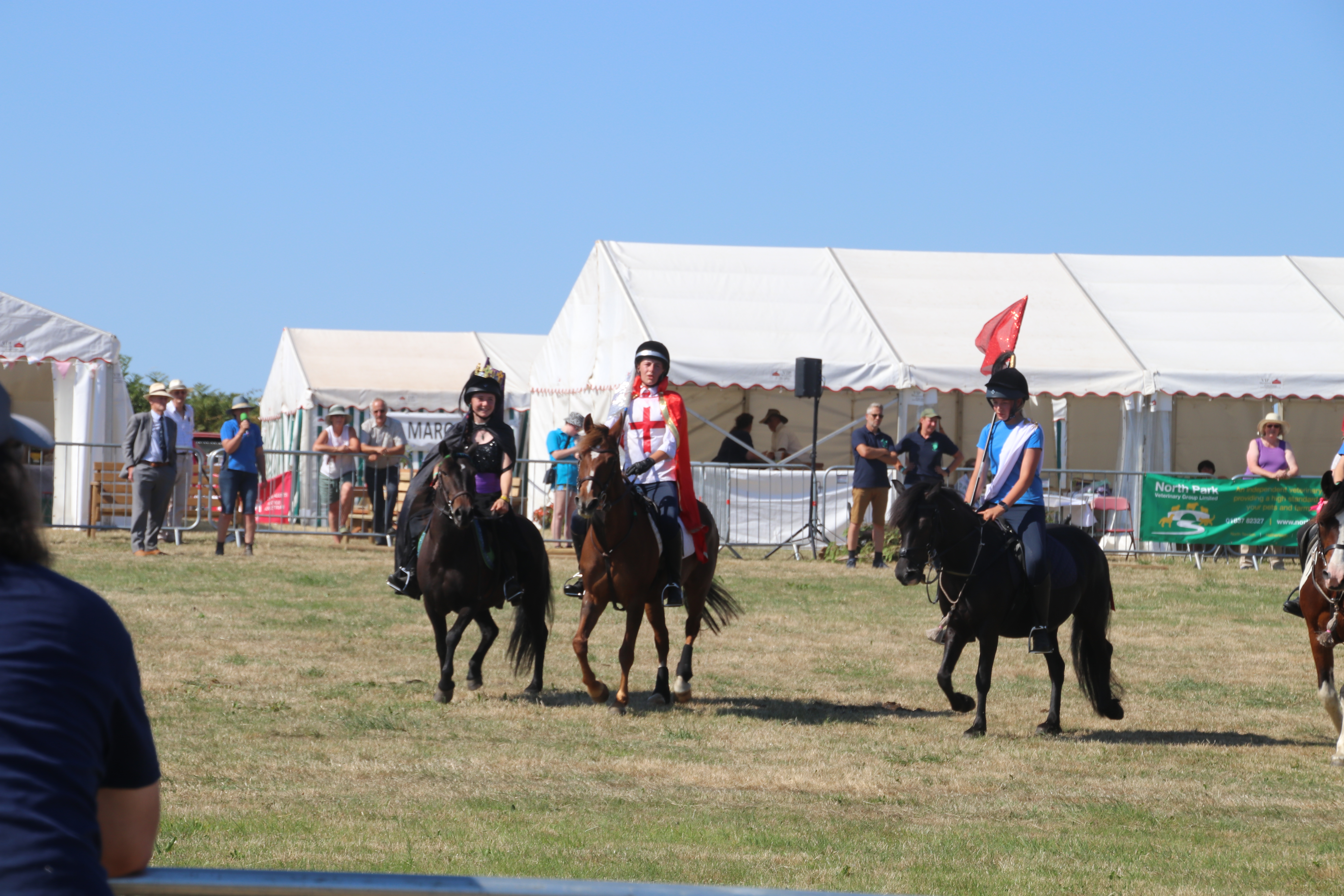 The Dartmoor Pony display team. AQ 8291
