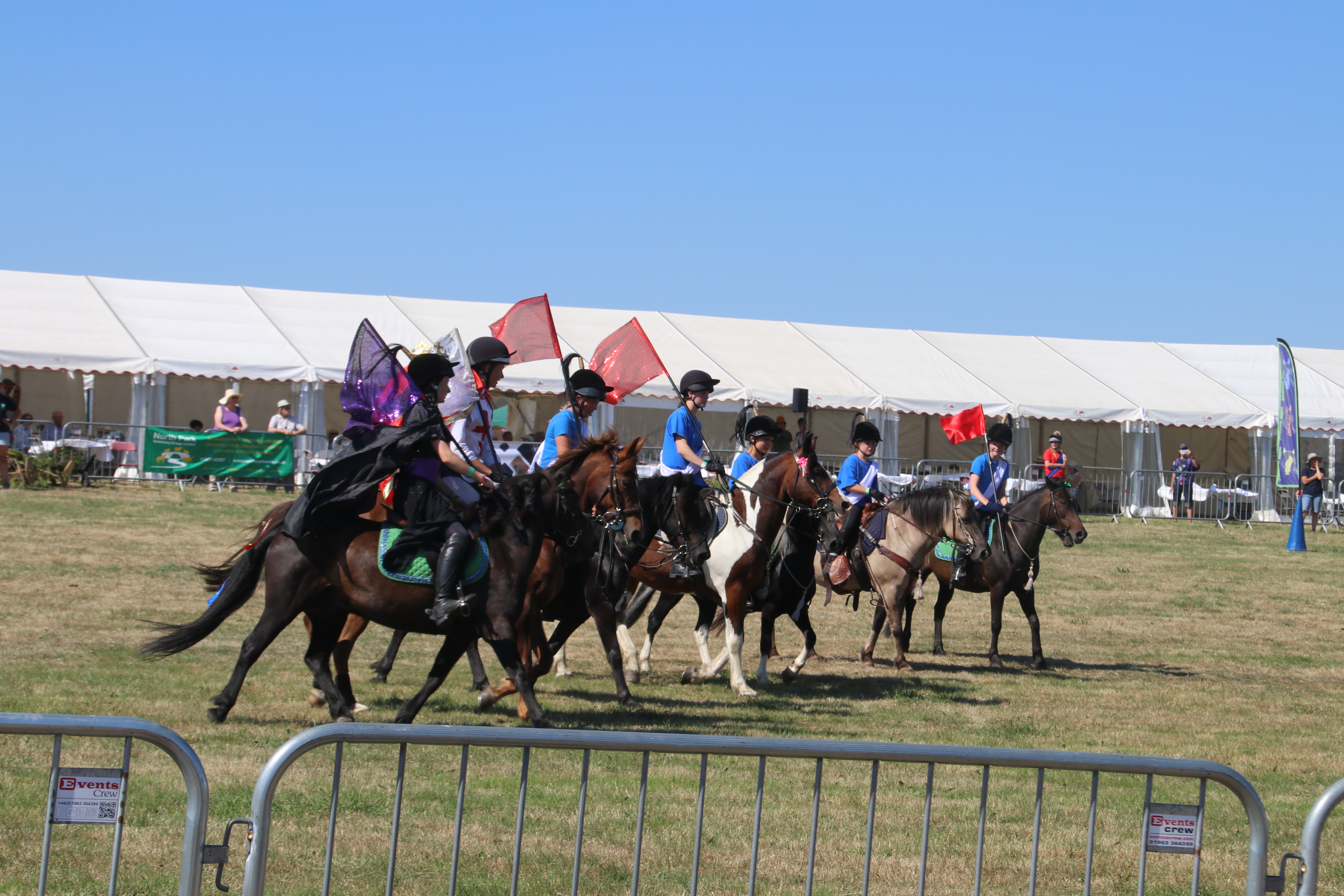 The Dartmoor Pony display team. AQ 8292