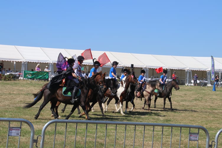 The Dartmoor Pony display team. AQ 8292
